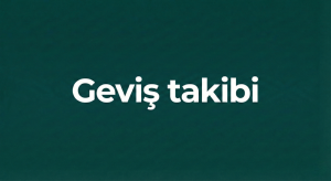 Geviş-