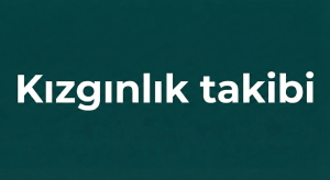 Kızgınlık-
