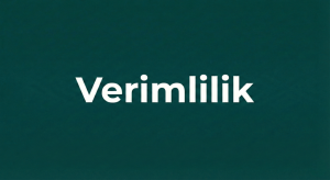 Verimlilik-